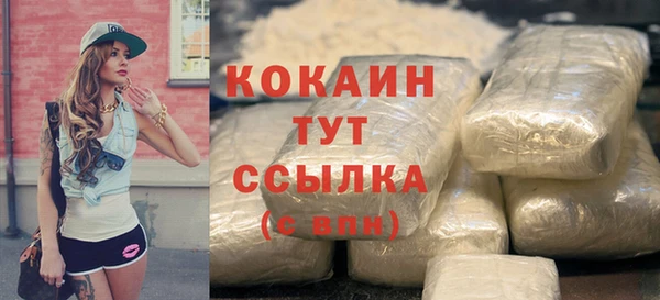 прущий лед Арсеньев