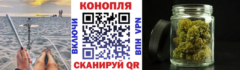 Конопля VHQ  Сясьстрой 